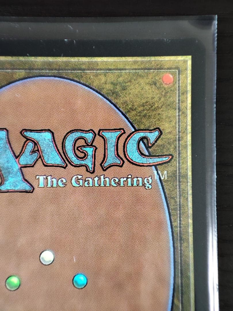 mtg 【Foil】《旗印/Coat of Arms》[7ED] 7版