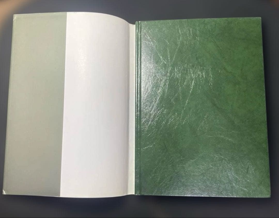 ティランジア・ハンドブック 改訂版 清水秀男 滝沢弘之 カバー付