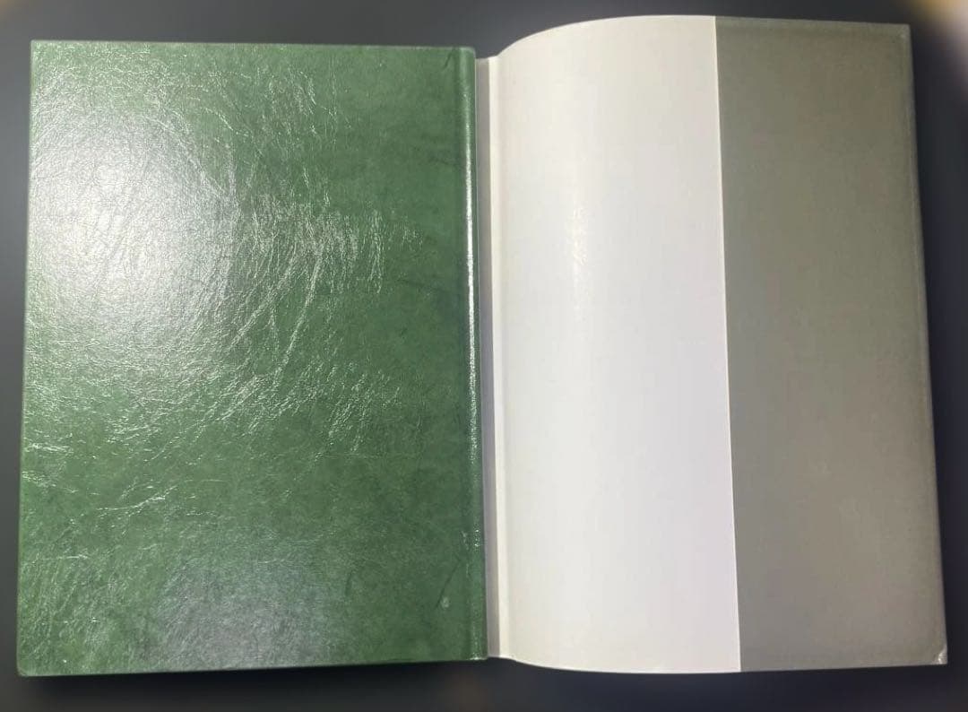 ティランジア・ハンドブック 改訂版 清水秀男 滝沢弘之 カバー付