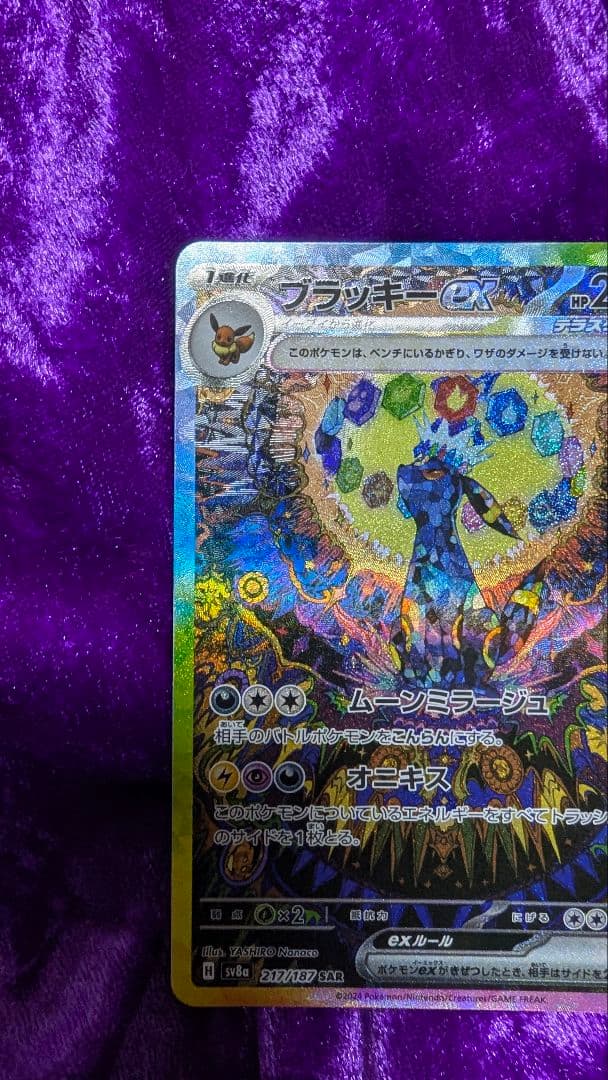 ブラッキーex SAR テラスタルフェスex