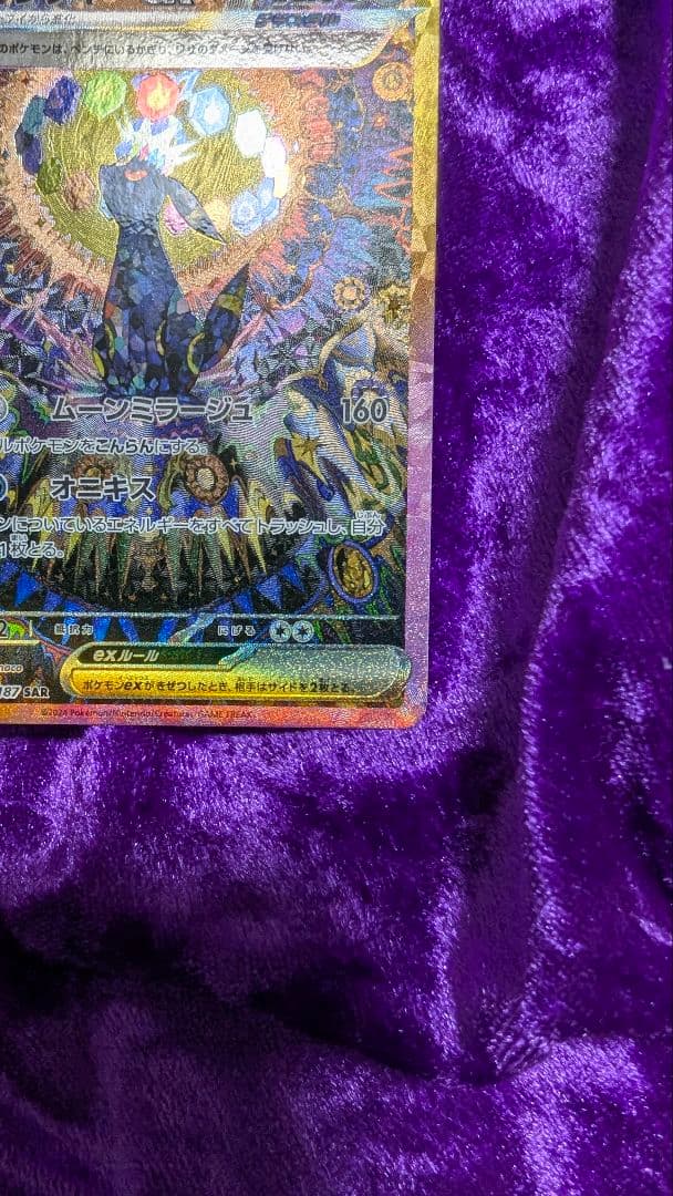 ブラッキーex SAR テラスタルフェスex