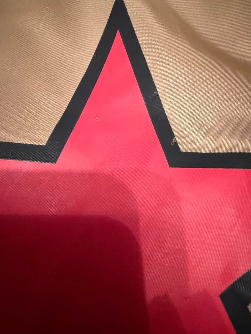 【試着のみ】vanson カスタム コーチジャケット\"M\"