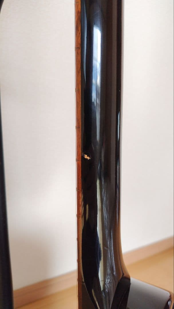 FERNANDES DIGI-ZO HYPER スカル