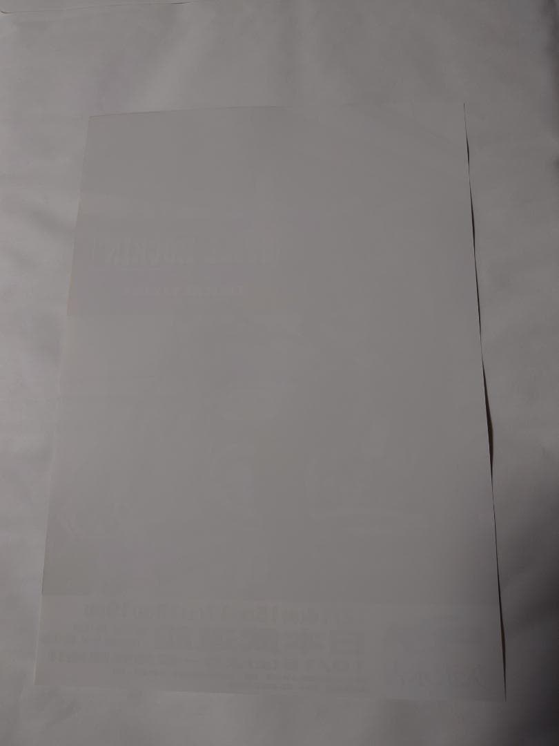 ★矢沢永吉・2011年・日本武道館・B5サイズチラシ