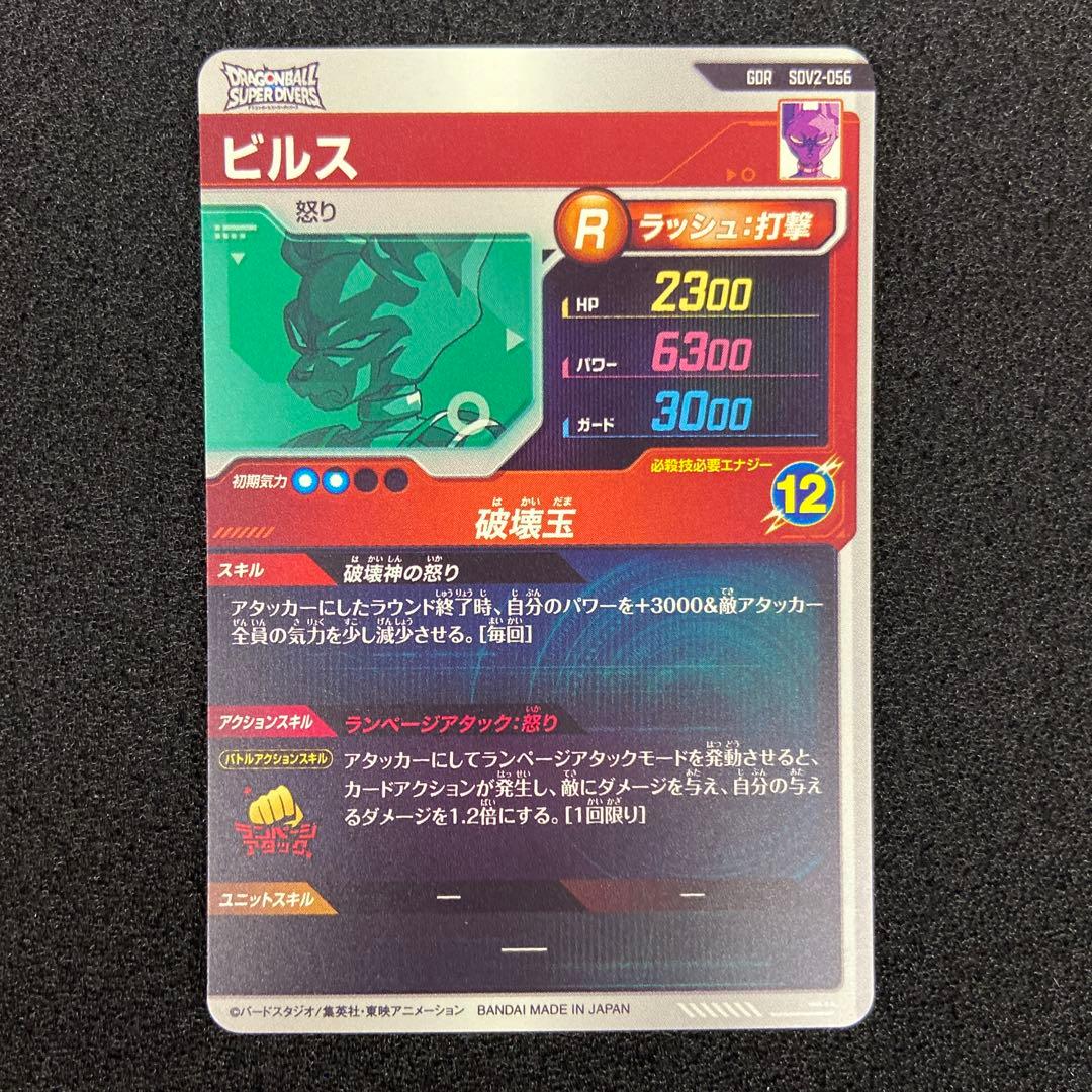 ※専用　DBSD GDR ビルス