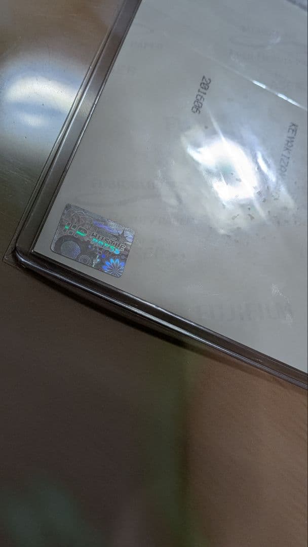 渡邉理佐　2016 写真