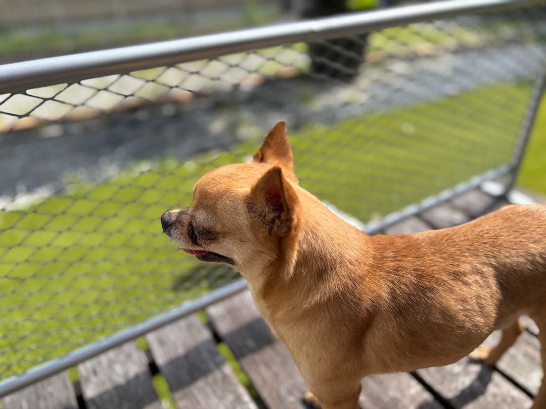 とも アメリカンフェンス風　バリケード700×300シルバー