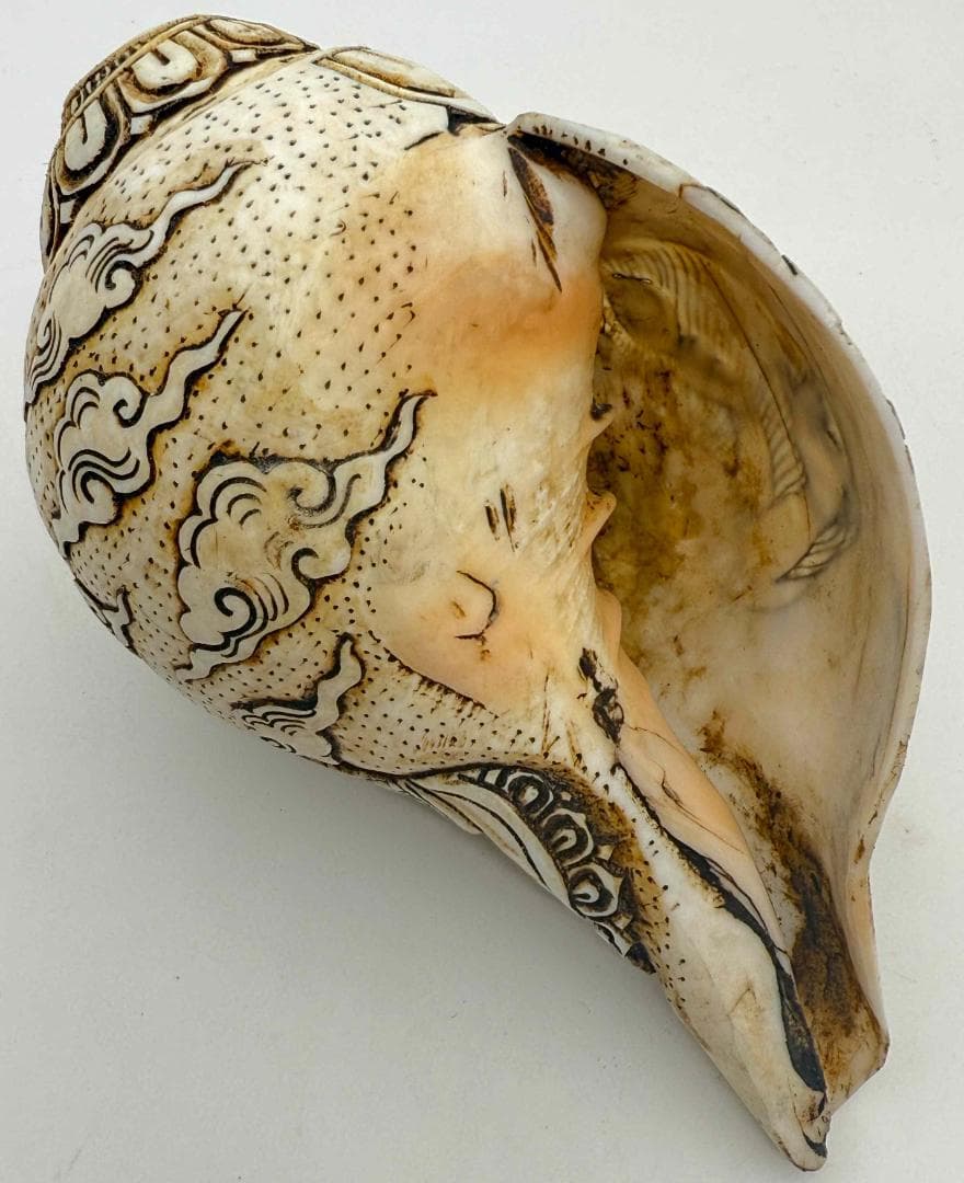 ◆チベット密教法具　法螺貝（シャンカ）ブラフマー（梵天）