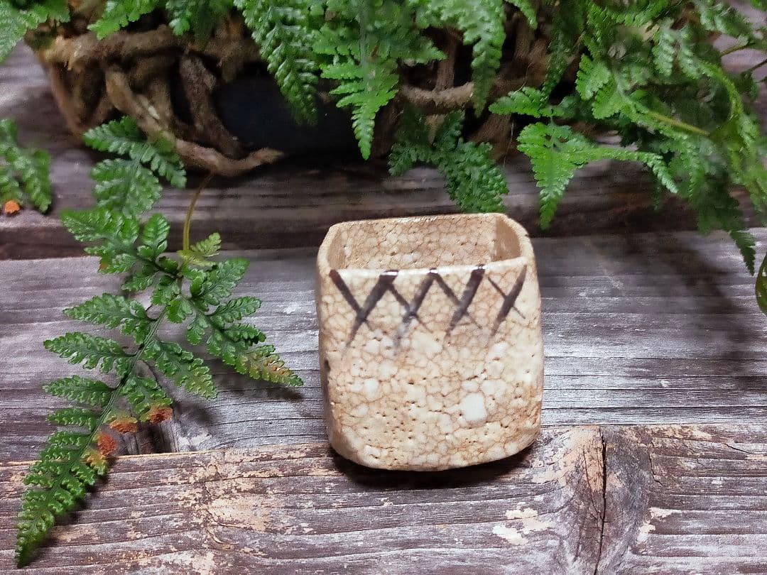 ♥絵志野　ぐい呑み　桐箱付き　⑭　志野　ぐい飲み　骨董品