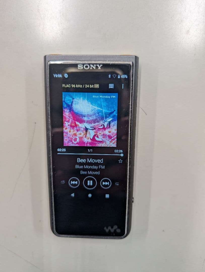 SONY ウォークマン 高音質デジタルオーディオプレーヤーNW-ZX500