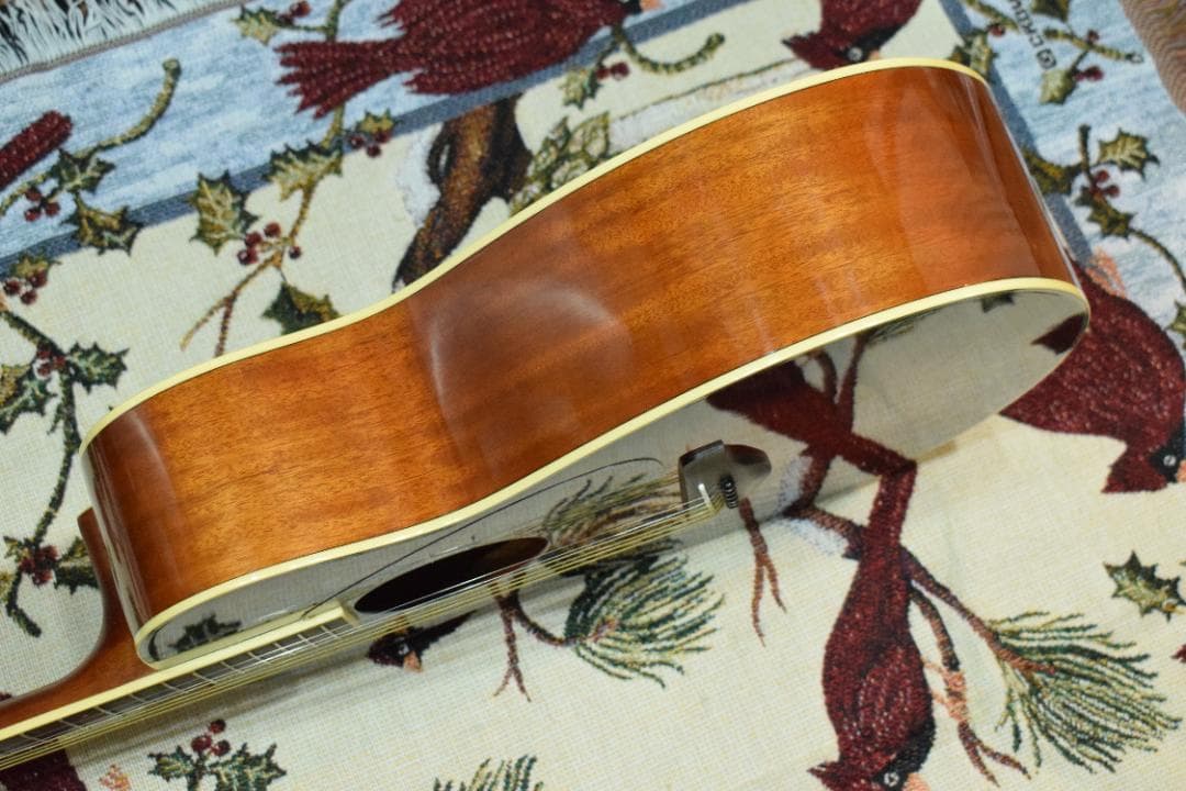 YAMAHA ヤマハ FS720S TBS ケース付き アコギ