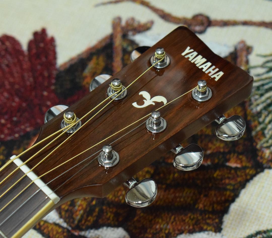 YAMAHA ヤマハ FS720S TBS ケース付き アコギ
