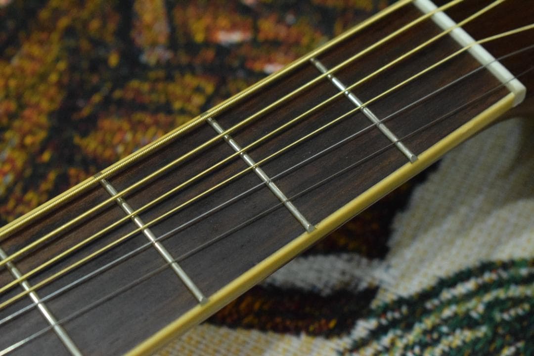 YAMAHA ヤマハ FS720S TBS ケース付き アコギ