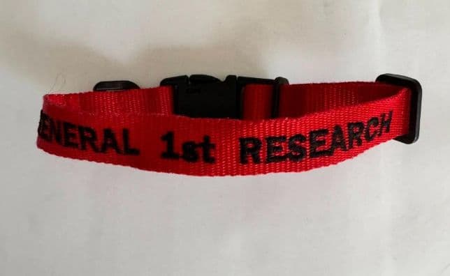 ジェネラルリサーチ　非売品　1周年　ベルト