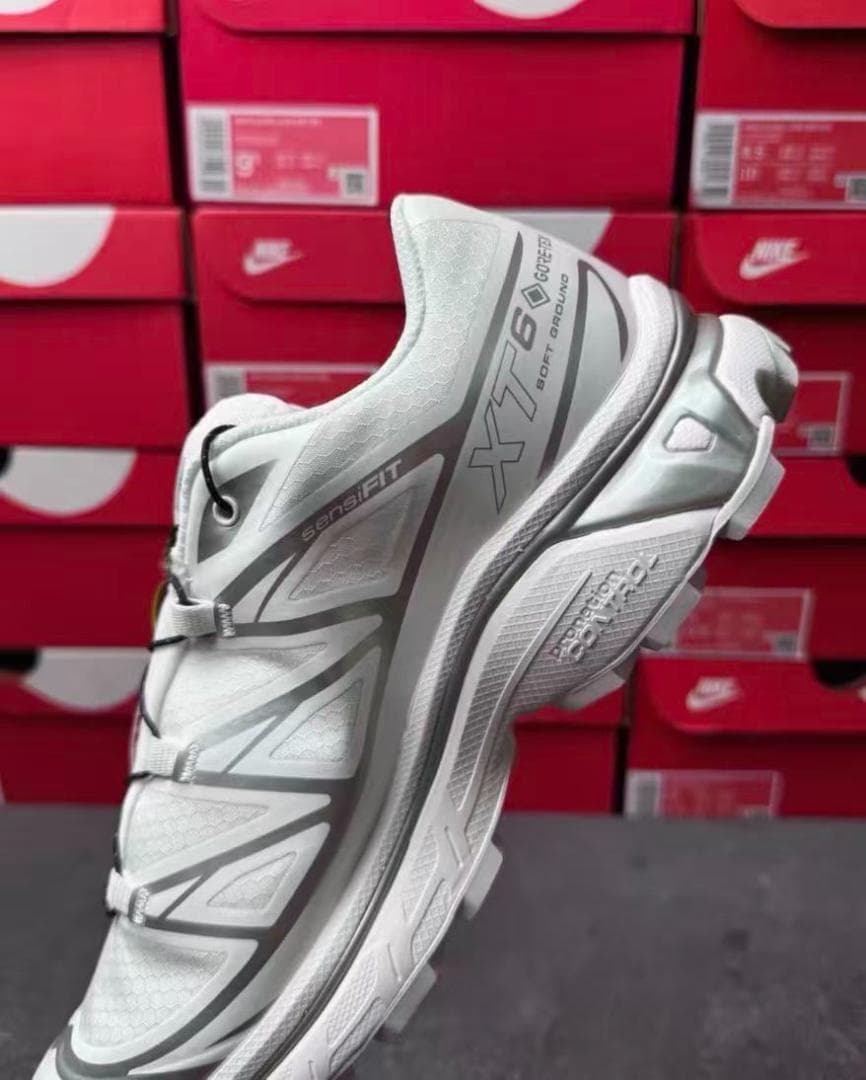 SalomonXT-6 2.0 EXPANSE アロイグレー