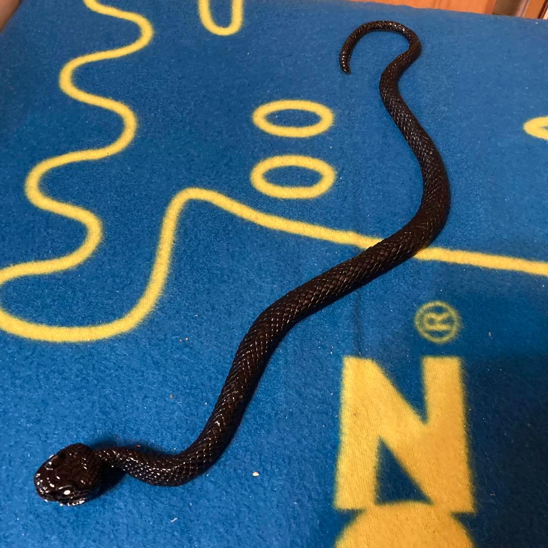 フィギュア　ヘビ　ブラック　45cm