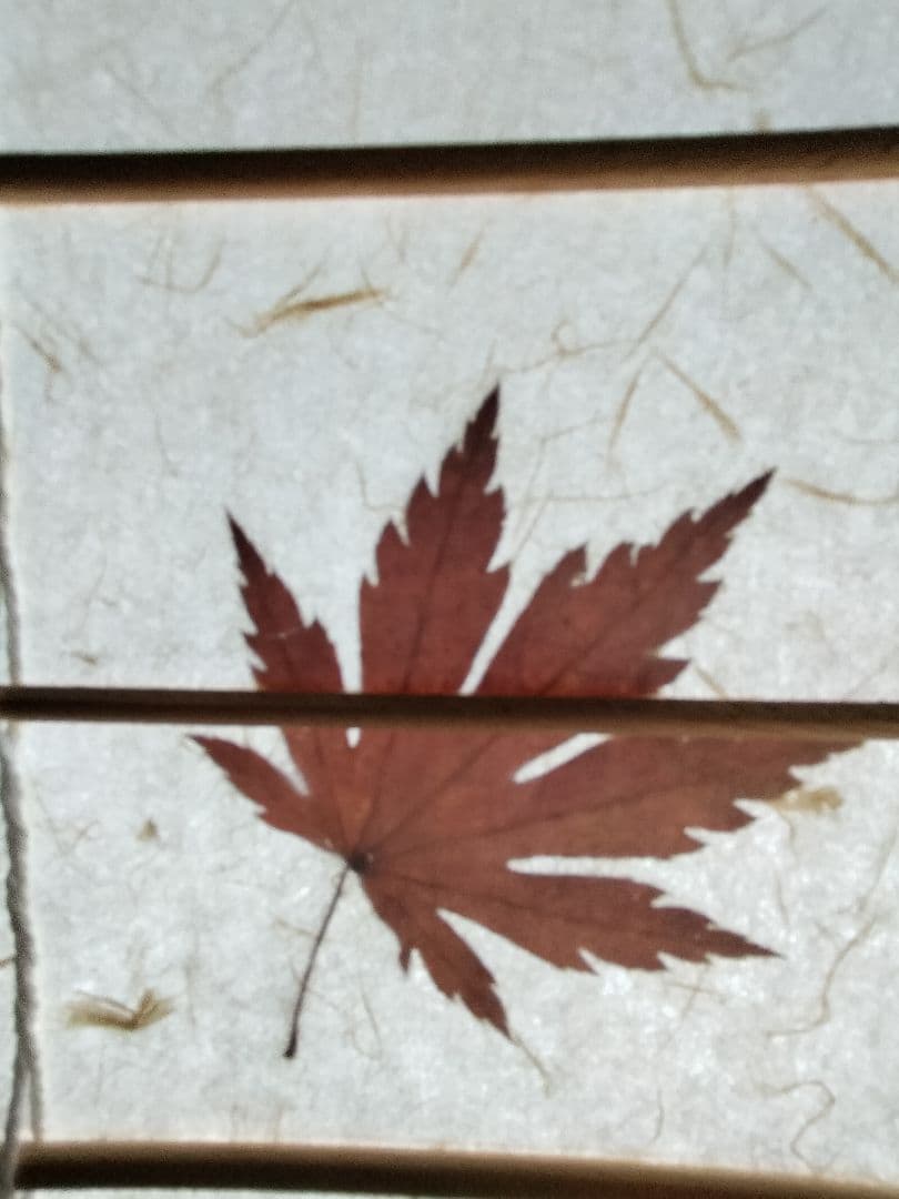 ayaka　紅葉模様の和紙パーテーション