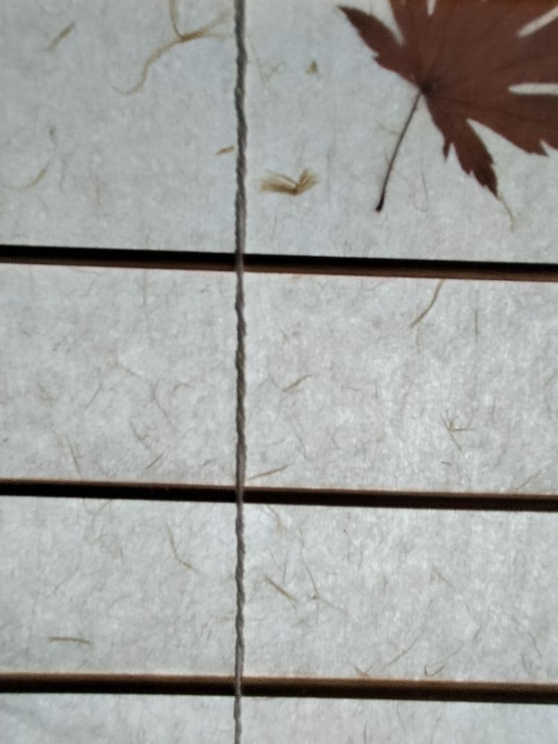 ayaka　紅葉模様の和紙パーテーション