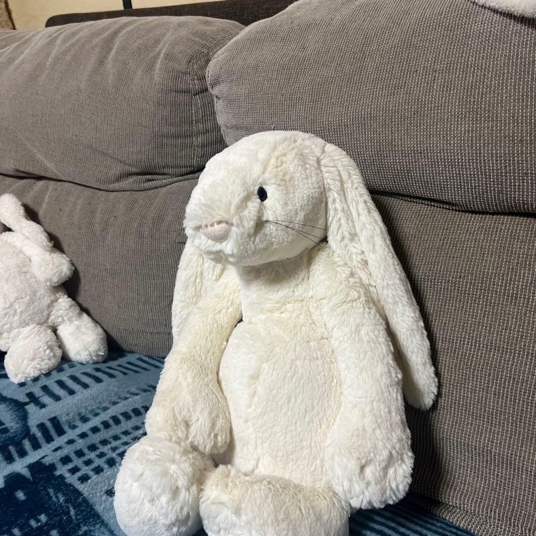  Bashful Large Bunny ヒゲ 廃盤 旧型