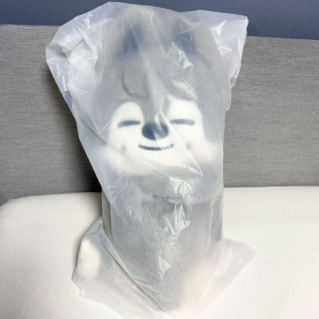 straykids celebrATE プラッシュバッグ ウルフチャン