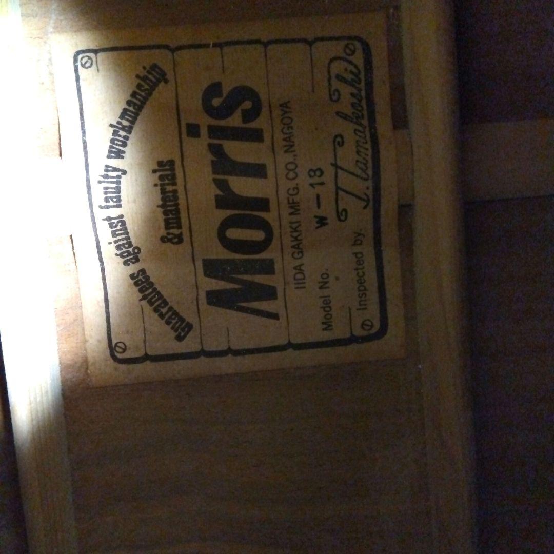 Morris W-18 アコースティックギター