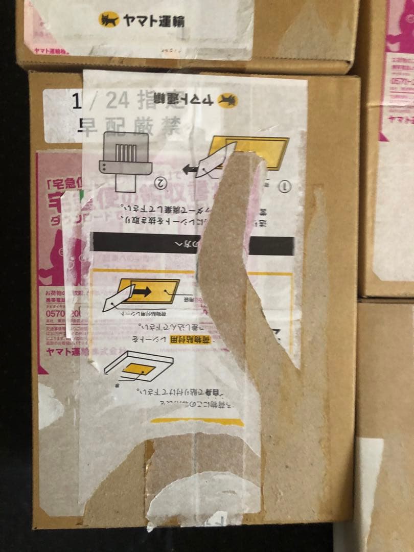 100%本物保証　バトルパートナーズ　ポケモンセンター産　1/24 初版