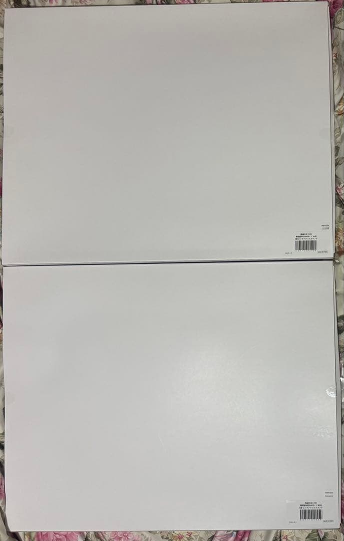 鬼滅の刃 幕間画 Webくじ A賞 C賞 D賞 F賞 G賞 義勇 伊黒