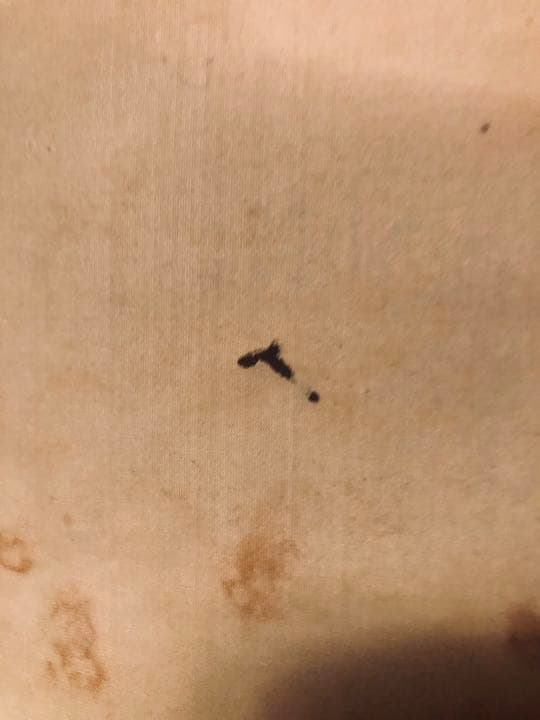 掛け軸　八幡太郎