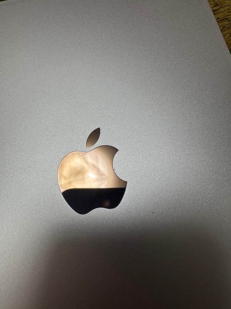 ipad mini 6 256GB Wi-Fi+Cellular ピンク 専用