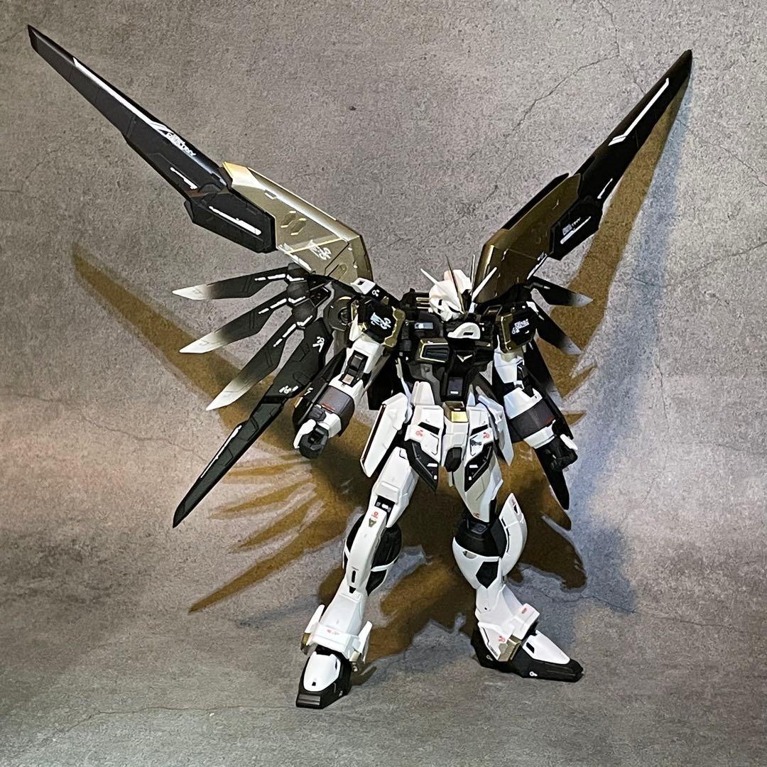 確認用 RG ディスティニーインパルスガンダム