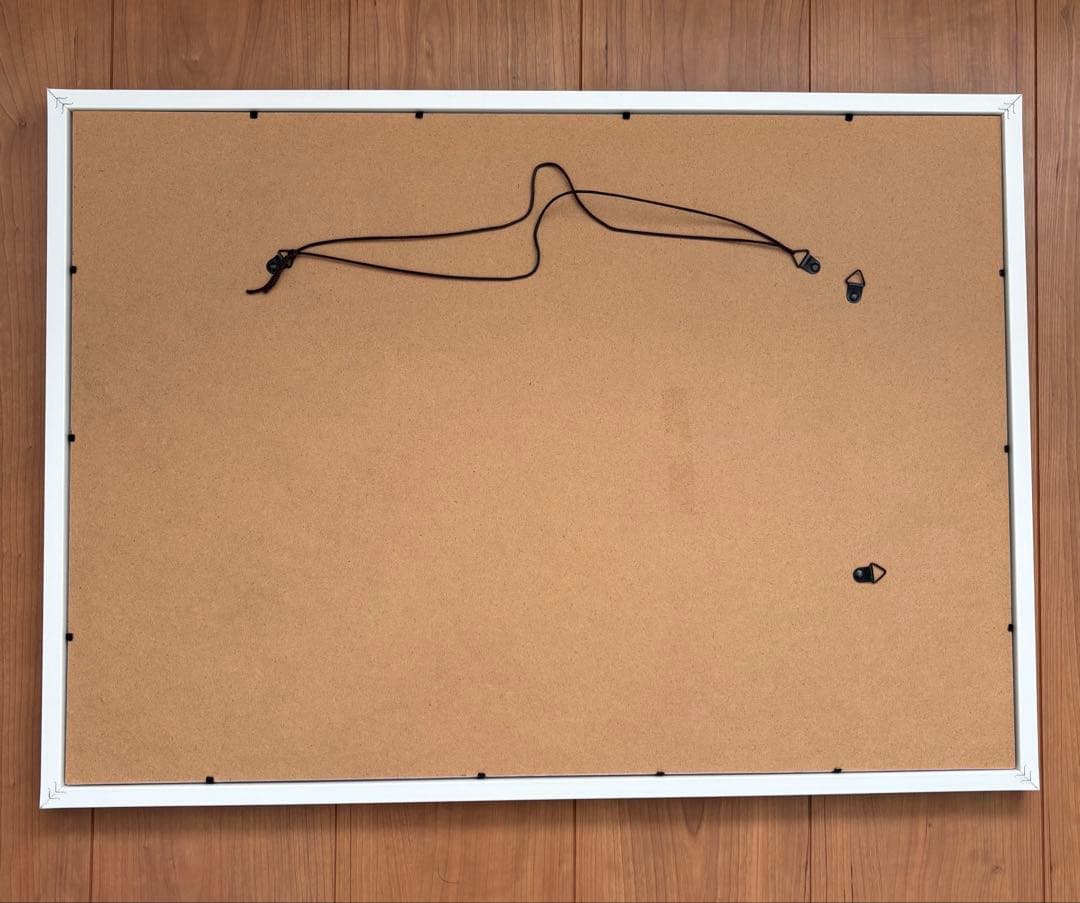 SEVENTEEN ジョンハン　パネル　マスタニム　マスター　NEW