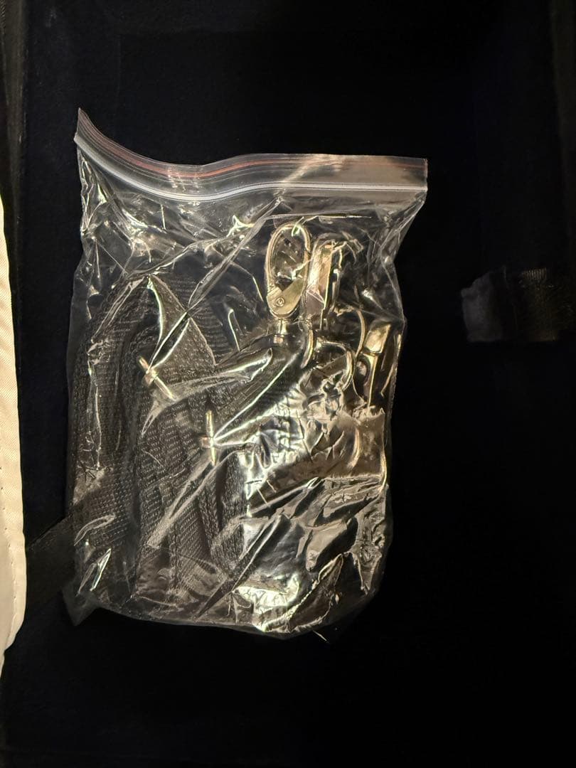 バイオリンケース プロテージ 4/4 Eastman (イーストマン)