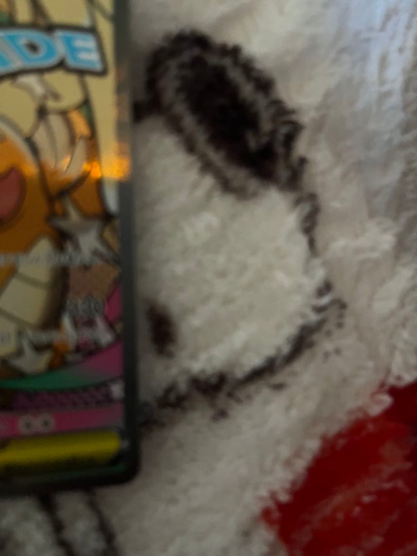 ポケモンカード ハイクラスMEGAドリームex コレクション6枚セット