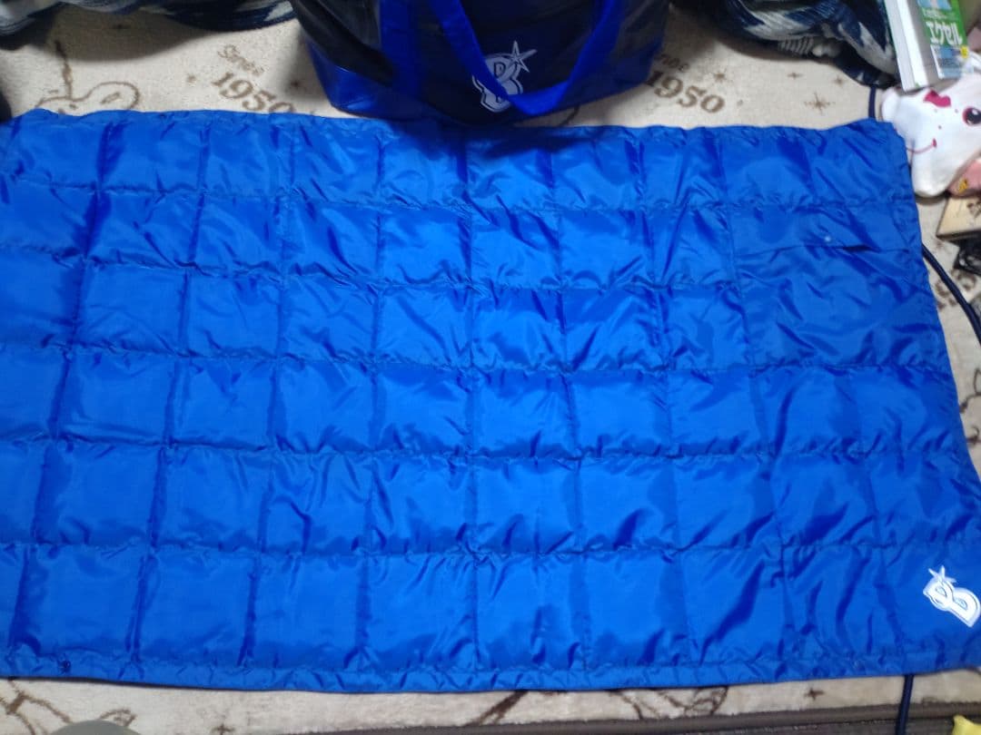 横浜DeNAベイスターズ 2022年「新春ハッピーバッグ」