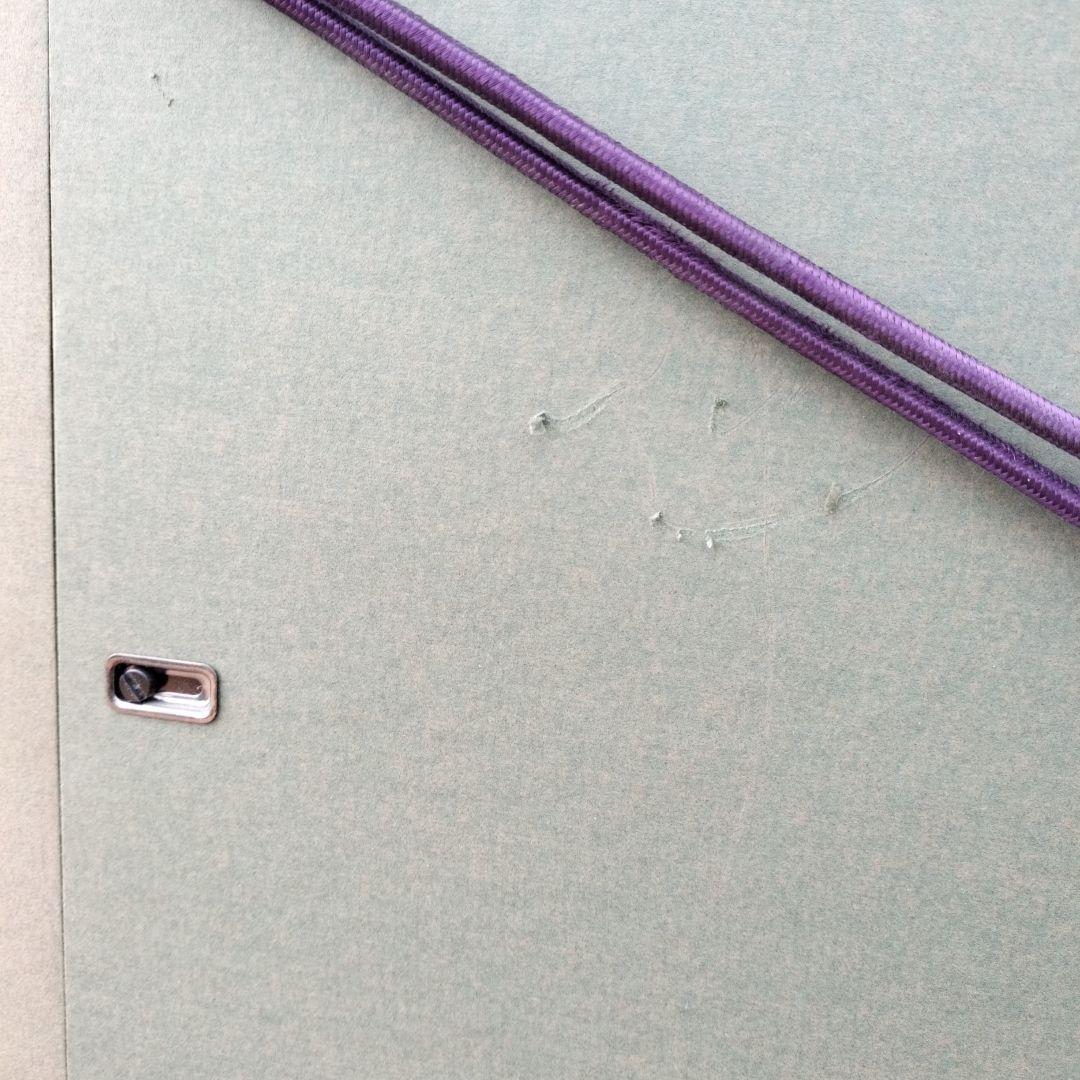 中島千波　「春輝神田の大糸桜」シルクスクリーン　279/350　箱付き