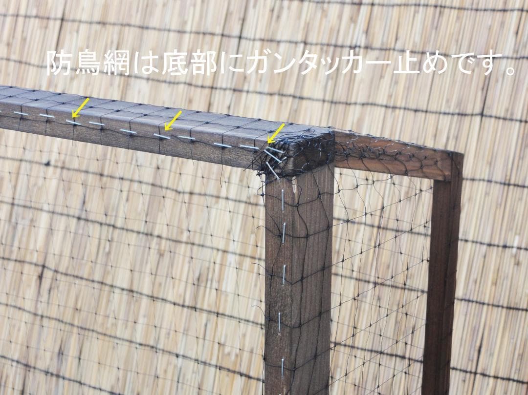 高さのあるビオトープ 40L トロ舟＆木枠セット(3D型防鳥網付き)