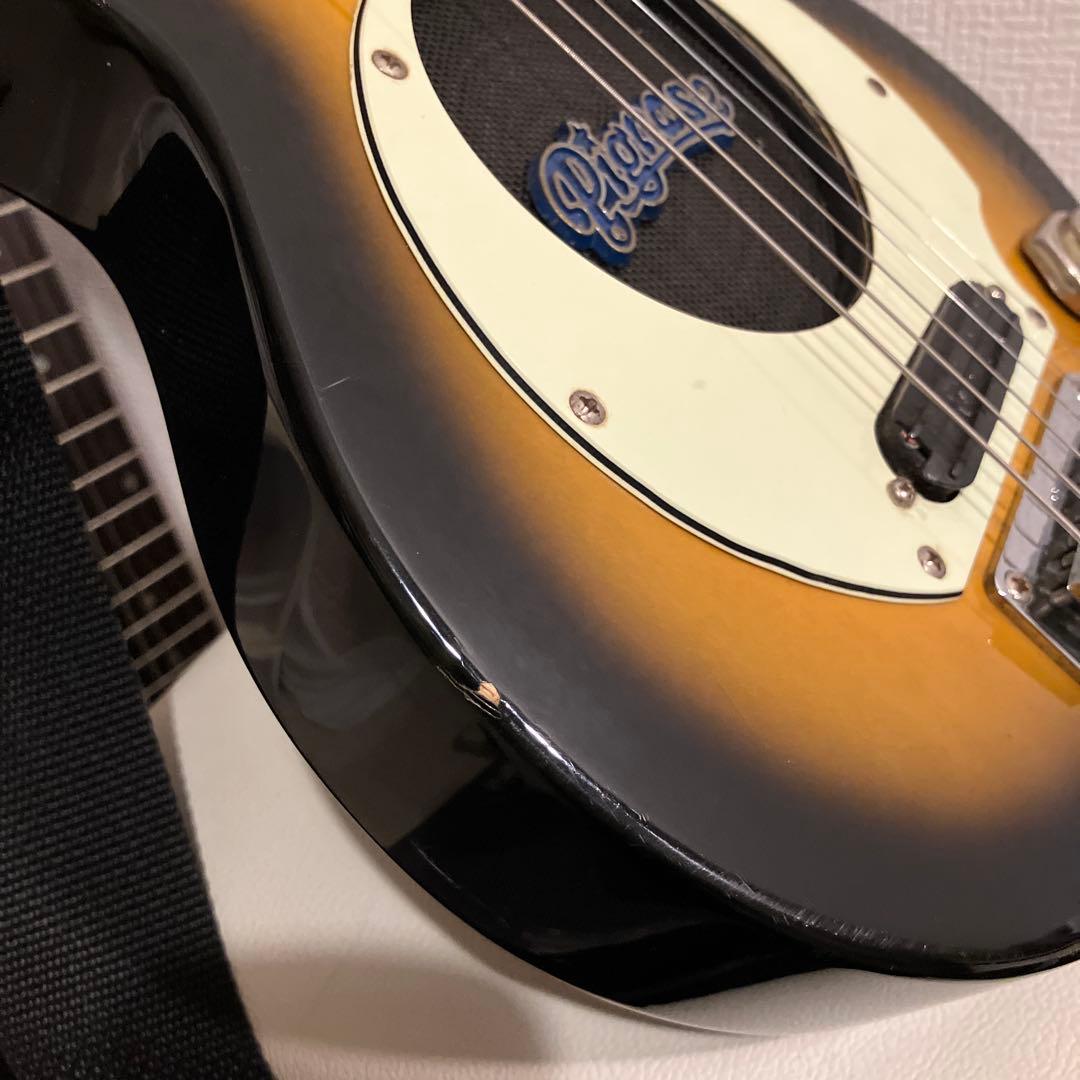 ピグノーズ PGG200 サンバースト