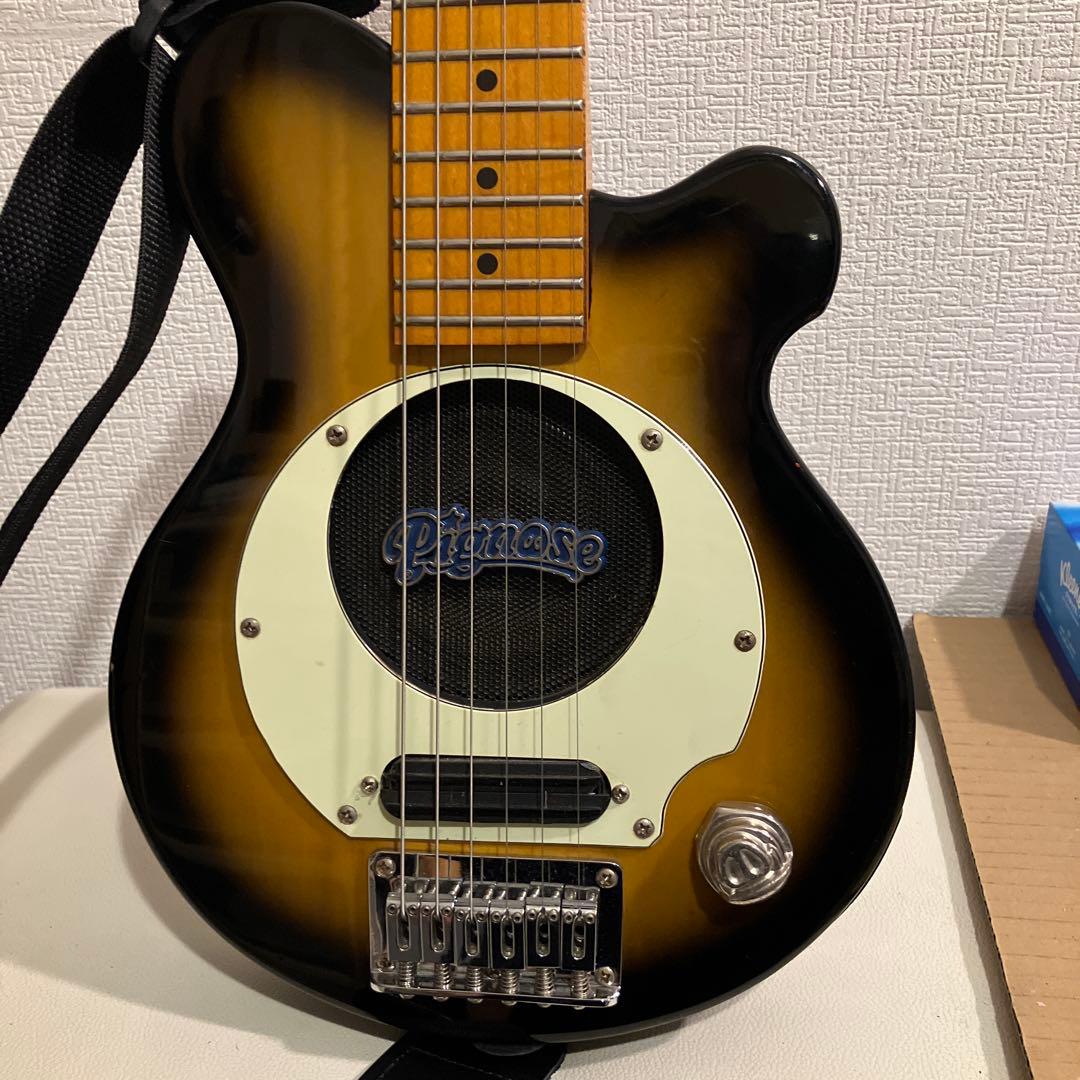 ピグノーズ PGG200 サンバースト