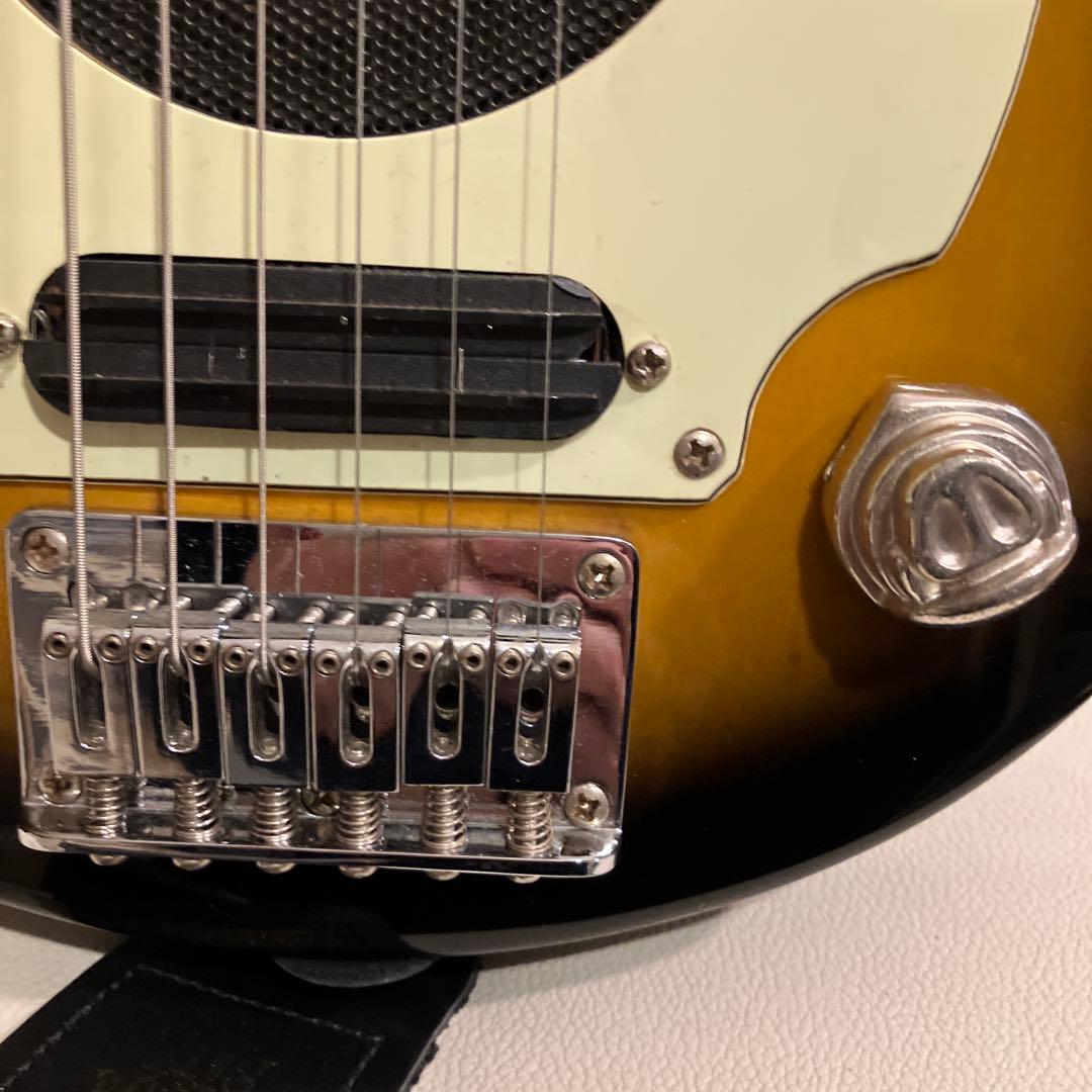 ピグノーズ PGG200 サンバースト