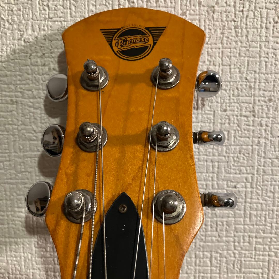 ピグノーズ PGG200 サンバースト