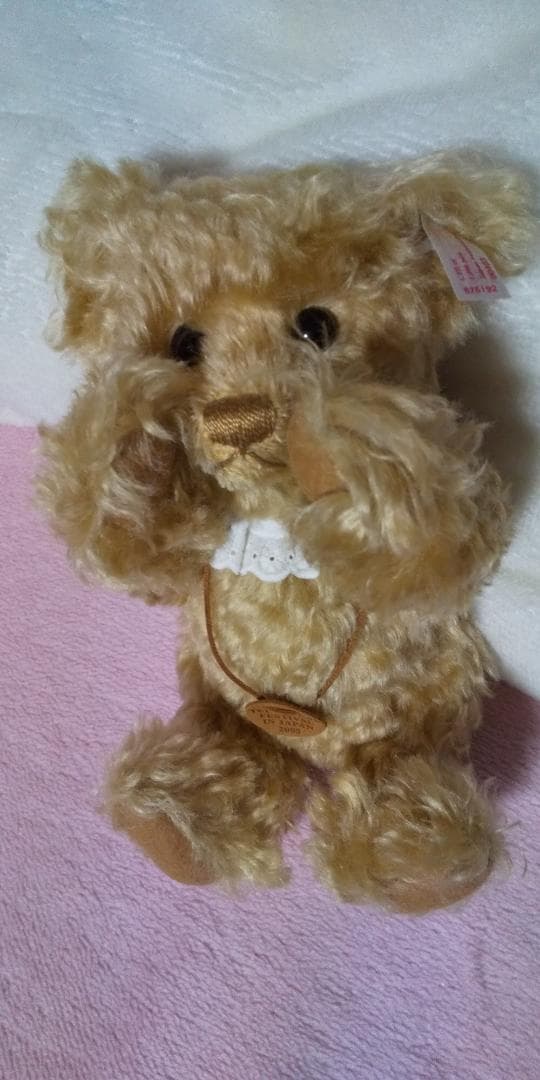 限定 steiff ぬいぐるみ teddy bear 2005 専用袋あり