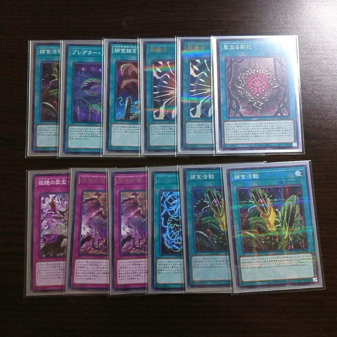 遊戯王【アザミナ捕食植物】デッキ スリーブ付.