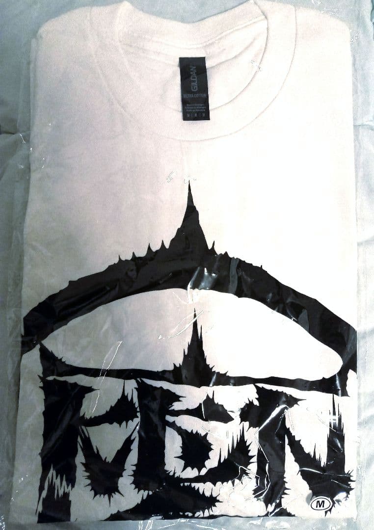 kenken Tシャツ Mサイズ 白 RIZE