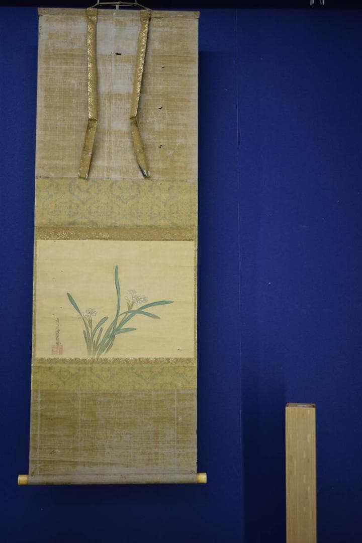 真作/土佐光起/水仙図/布袋屋掛軸HJ-288