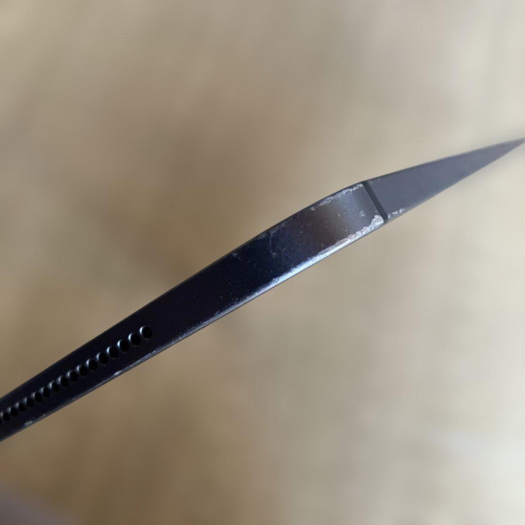 iPad Pro 12.9 第三世代 1TB Cellular グレー 77%