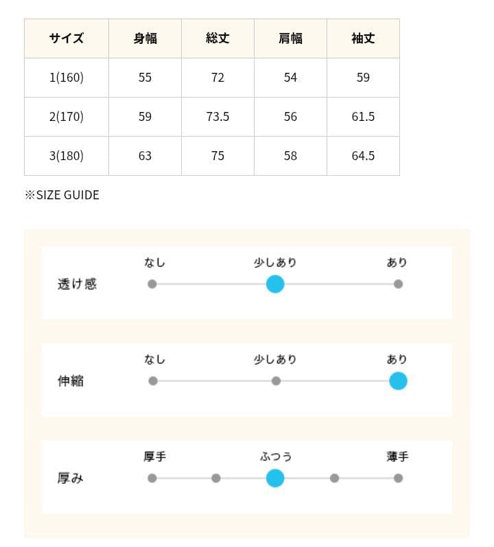 トレーナー　aiko　yuki horimoto　ホーリー