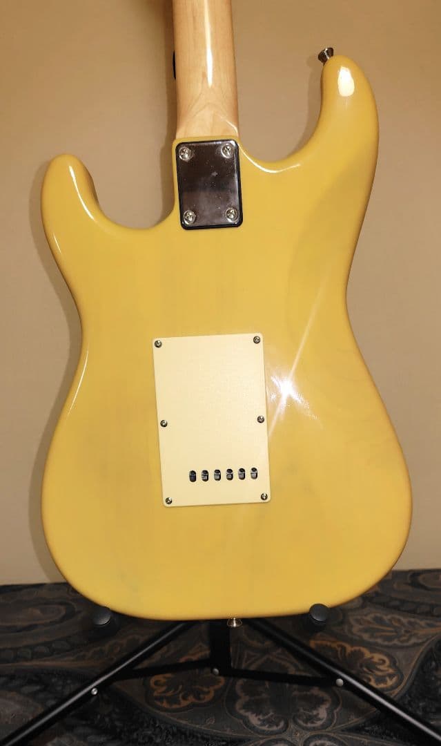 Ｂucchus ストラトタイプ　　　 (入手困難 生産中止モデル)