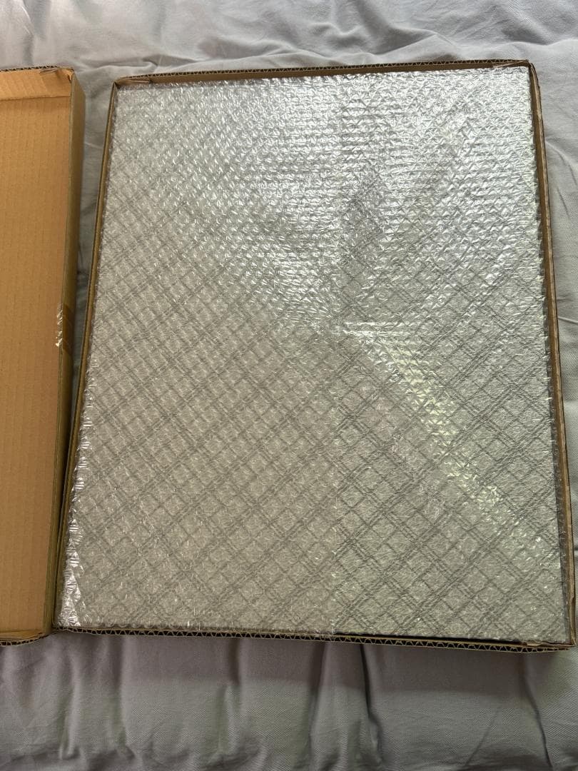 イーカプコン限定 ヴァンパイアセイヴァー 西村キヌ 額装アート プリマグラフィ