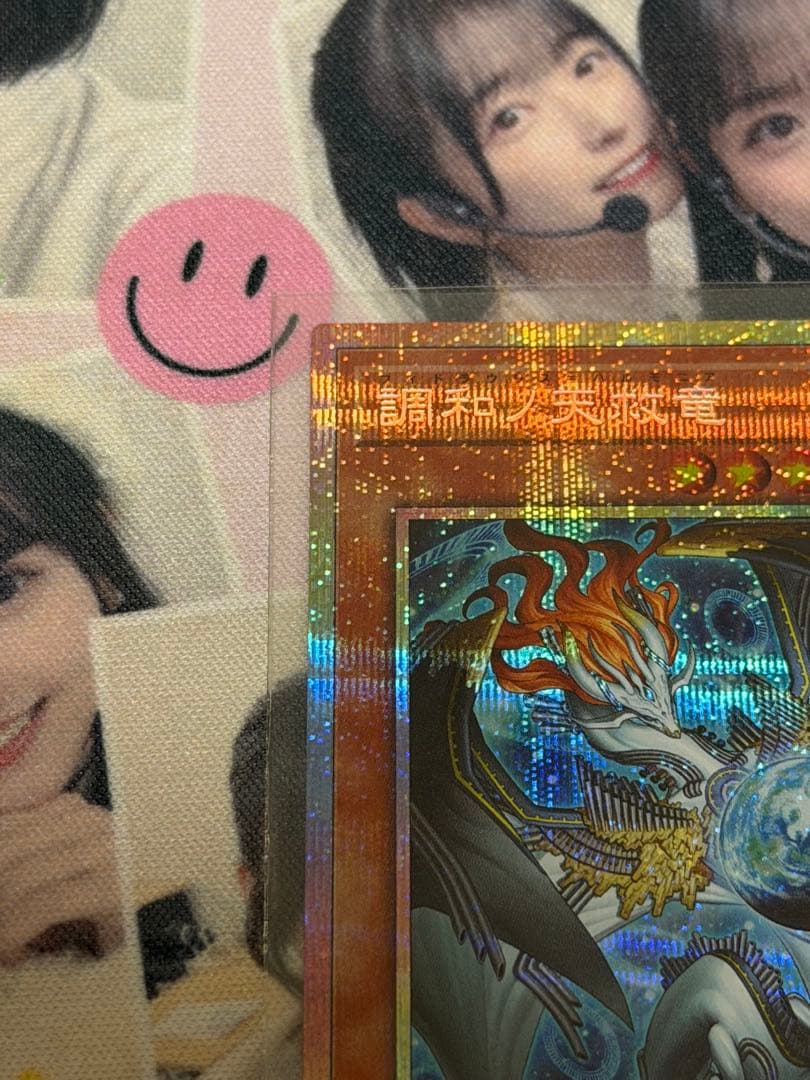 調和の天救竜 プリシク