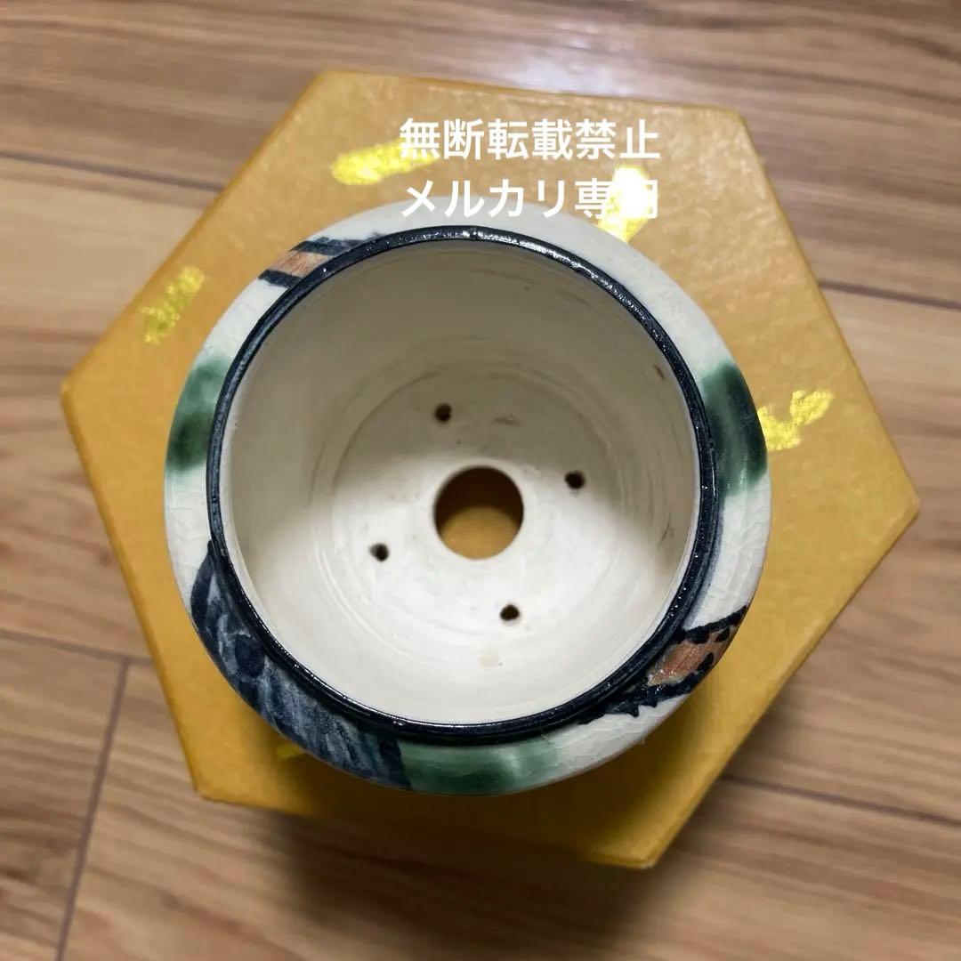 盆栽鉢　桑津香石　丸鉢　山野草　植木鉢　絵鉢